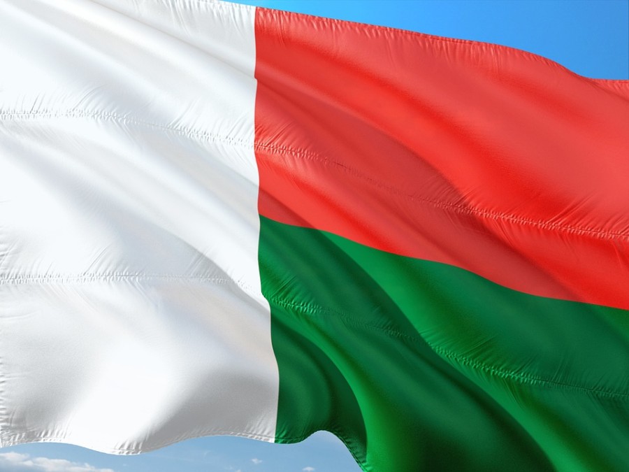 Najmanje 15 poginulih u velikom stampedu