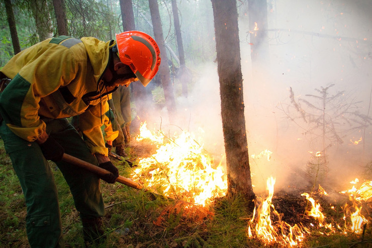 Požari bukte na 163.000 hektara