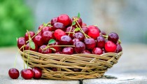 Gastroenterolog otkriva: Napitak koji poboljšava san i zdravlje crijeva