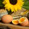 Gastroenterolog objasnio šta je bolje za mršavljenje – jaje ili omlet