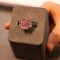Rijedak roze dijamant uskoro na aukciji u Njujorku, procijenjen na 35 miliona dolara
