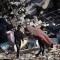Vazdušni napad u Gazi, ubijen snimatelj agencije Anadolija
